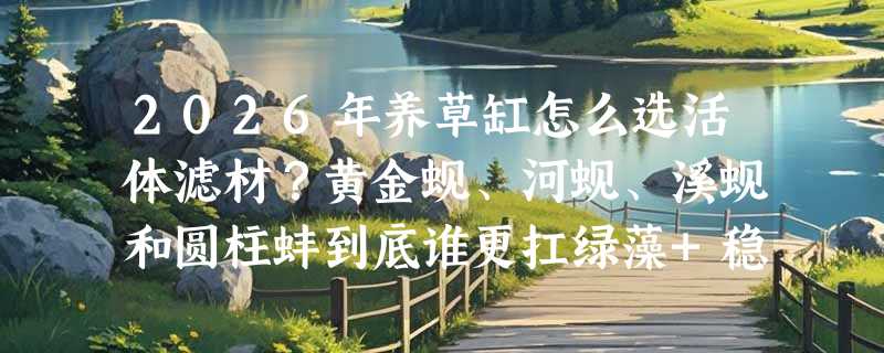 2026年养草缸怎么选活体滤材？黄金蚬、河蚬、溪蚬和圆柱蚌到底谁更扛绿藻+稳水质？