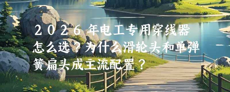 2026年电工专用穿线器怎么选？为什么滑轮头和单弹簧扁头成主流配置？