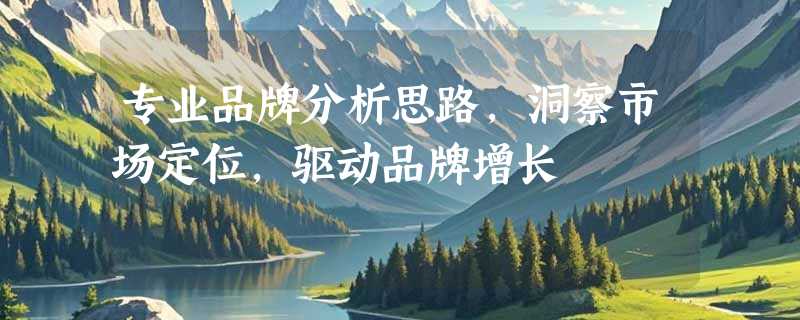 专业品牌分析思路，洞察市场定位，驱动品牌增长