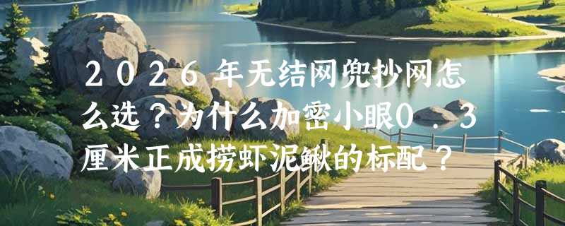 2026年无结网兜抄网怎么选？为什么加密小眼0.3厘米正成捞虾泥鳅的标配？