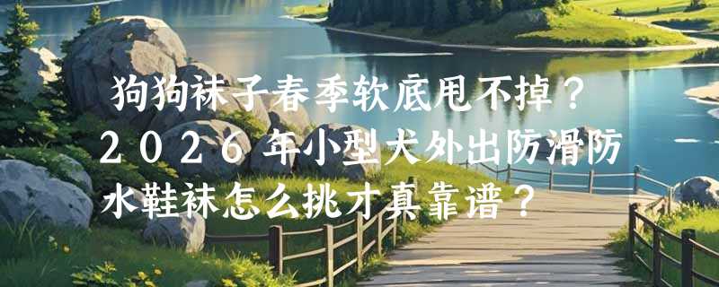 狗狗袜子春季软底甩不掉？2026年小型犬外出防滑防水鞋袜怎么挑才真靠谱？