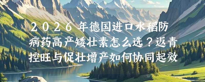 2026年德国进口水稻防病药高产矮壮素怎么选？返青控旺与促壮增产如何协同起效？