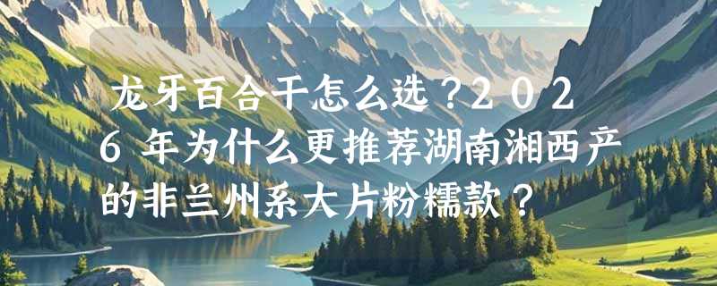 龙牙百合干怎么选？2026年为什么更推荐湖南湘西产的非兰州系大片粉糯款？