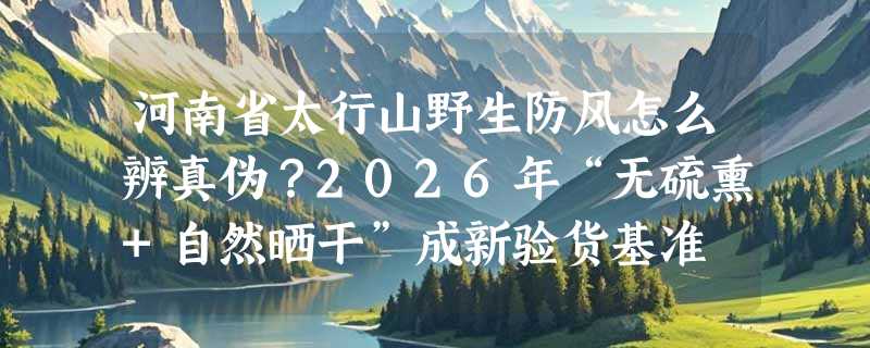 河南省太行山野生防风怎么辨真伪？2026年“无硫熏+自然晒干”成新验货基准