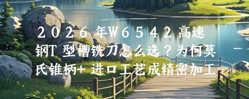 2026年W6542高速钢T型槽铣刀怎么选？为何莫氏锥柄+进口工艺成精密加工新基准？