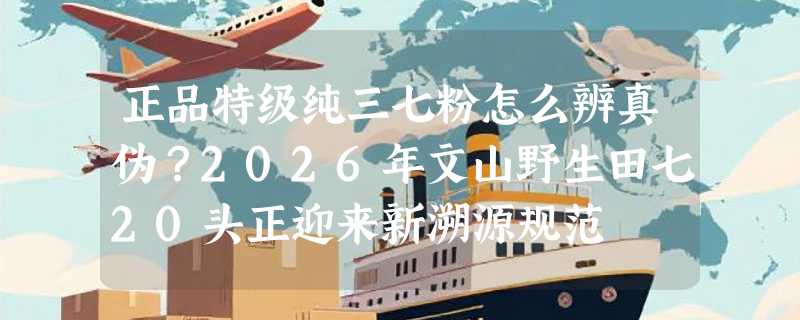 正品特级纯三七粉怎么辨真伪？2026年文山野生田七20头正迎来新溯源规范