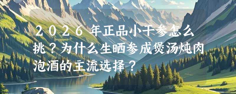 2026年正品小干参怎么挑？为什么生晒参成煲汤炖肉泡酒的主流选择？