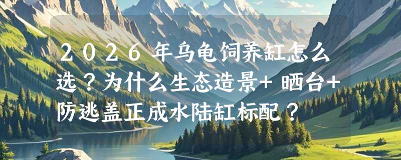 2026年乌龟饲养缸怎么选？为什么生态造景+晒台+防逃盖正成水陆缸标配？