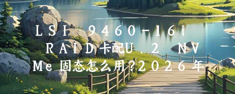 LSI 9460-16i RAID卡配U.2 NVMe固态怎么用？2026年企业级存储架构为何更看重缓存与协议协同？