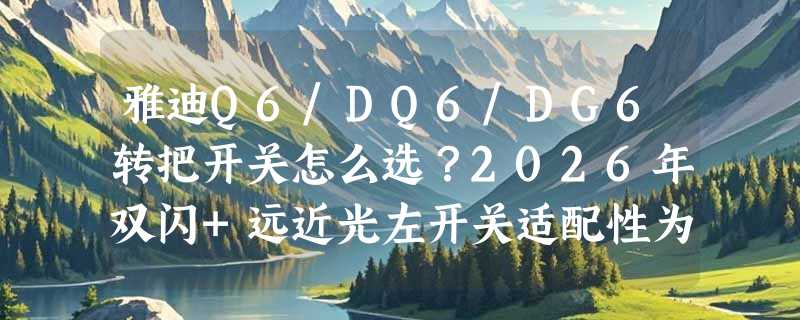 雅迪Q6/DQ6/DG6转把开关怎么选？2026年双闪+远近光左开关适配性为何成关键指标？