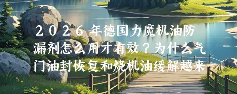 2026年德国力魔机油防漏剂怎么用才有效？为什么气门油封恢复和烧机油缓解越来越依赖添加剂协同？