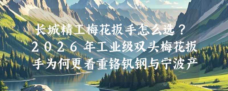 长城精工梅花扳手怎么选？2026年工业级双头梅花扳手为何更看重铬钒钢与宁波产标？
