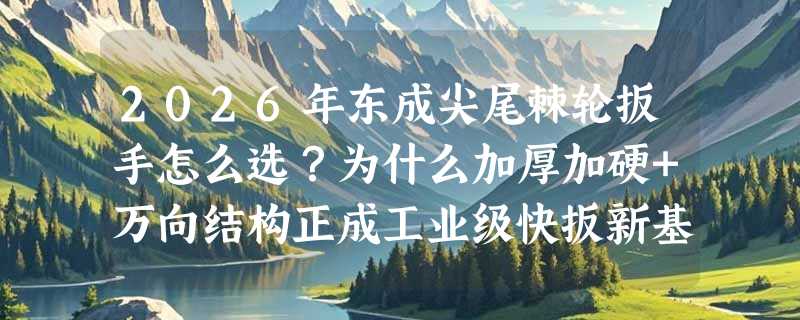 2026年东成尖尾棘轮扳手怎么选？为什么加厚加硬+万向结构正成工业级快扳新基准？