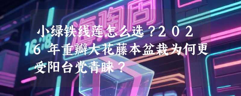 小绿铁线莲怎么选？2026年重瓣大花藤本盆栽为何更受阳台党青睐？