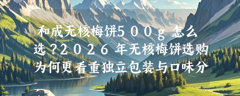 和成无核梅饼500g怎么选？2026年无核梅饼选购为何更看重独立包装与口味分装？