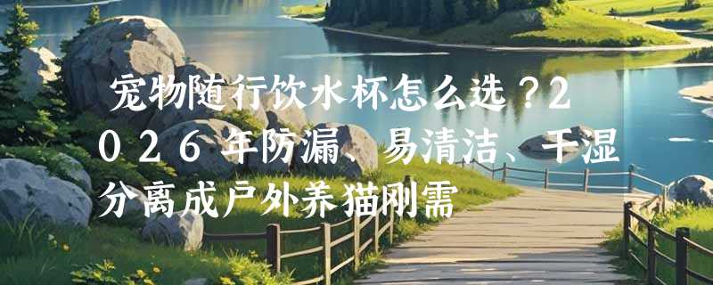 宠物随行饮水杯怎么选？2026年防漏、易清洁、干湿分离成户外养猫刚需