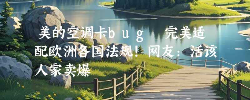美的空调卡bug 完美适配欧洲各国法规！网友：活该人家卖爆