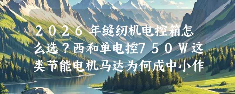 2026年缝纫机电控箱怎么选？西和单电控750W这类节能电机马达为何成中小作坊升级首选？