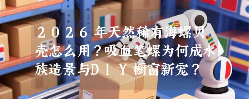 2026年天然稀有海螺贝壳怎么用？吸血笔螺为何成水族造景与DIY橱窗新宠？