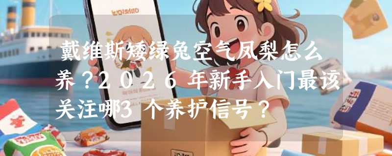 戴维斯矮绿兔空气凤梨怎么养？2026年新手入门最该关注哪3个养护信号？