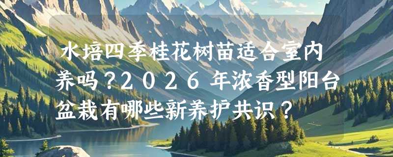 水培四季桂花树苗适合室内养吗？2026年浓香型阳台盆栽有哪些新养护共识？