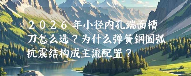 2026年小径内孔端面槽刀怎么选？为什么弹簧钢圆弧抗震结构成主流配置？