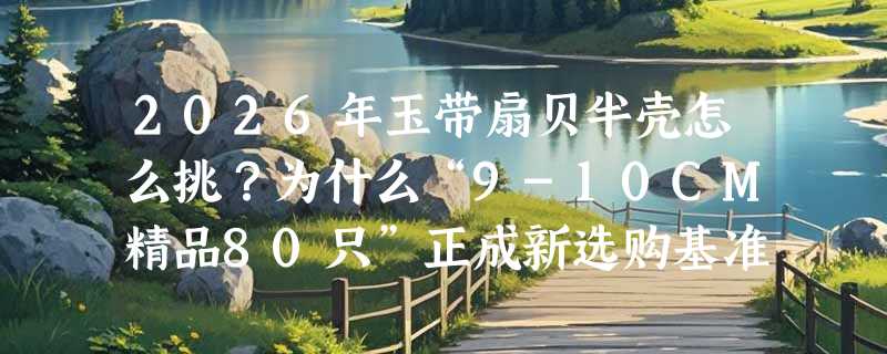 2026年玉带扇贝半壳怎么挑？为什么“9-10CM精品80只”正成新选购基准？