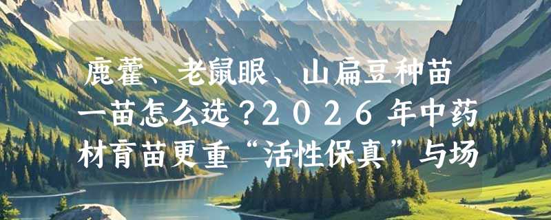 鹿藿、老鼠眼、山扁豆种苗一苗怎么选？2026年中药材育苗更重“活性保真”与场景适配