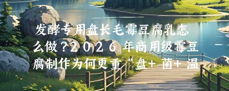 发酵专用盘长毛霉豆腐乳怎么做？2026年商用级霉豆腐制作为何更重“盘+菌+温控”三件套？