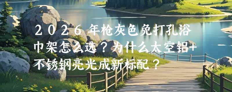 2026年枪灰色免打孔浴巾架怎么选？为什么太空铝+不锈钢亮光成新标配？