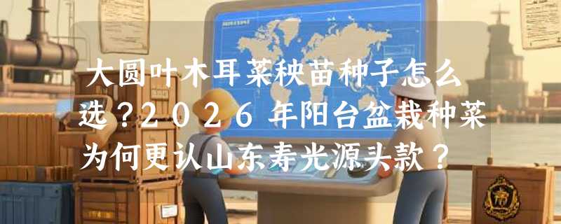 大圆叶木耳菜秧苗种子怎么选？2026年阳台盆栽种菜为何更认山东寿光源头款？