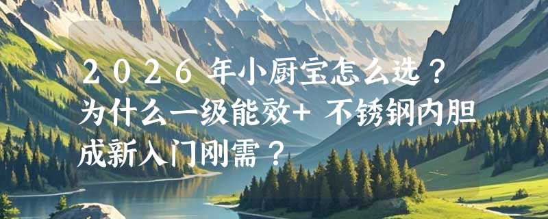 2026年小厨宝怎么选？为什么一级能效+不锈钢内胆成新入门刚需？