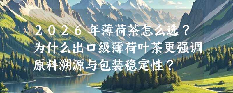 2026年薄荷茶怎么选？为什么出口级薄荷叶茶更强调原料溯源与包装稳定性？