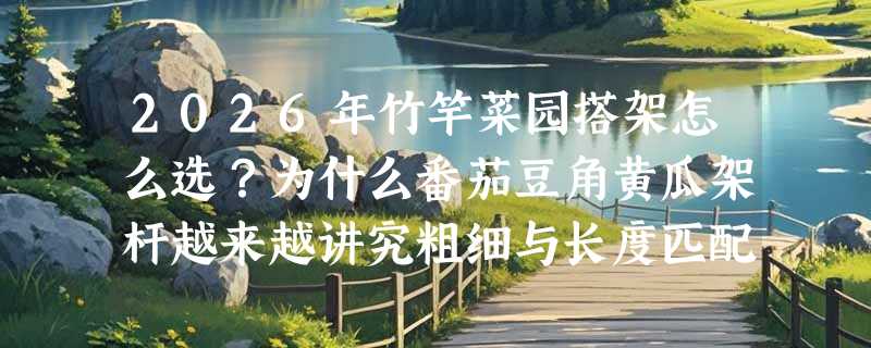 2026年竹竿菜园搭架怎么选？为什么番茄豆角黄瓜架杆越来越讲究粗细与长度匹配？