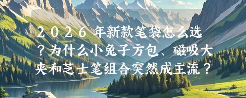2026年新款笔袋怎么选？为什么小兔子方包、磁吸大夹和芝士笔组合突然成主流？