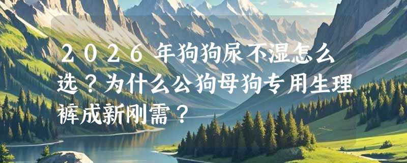 2026年狗狗尿不湿怎么选？为什么公狗母狗专用生理裤成新刚需？