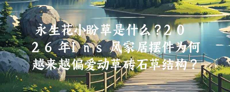 永生花小盼草是什么？2026年Ins风家居摆件为何越来越偏爱动草砖石草结构？