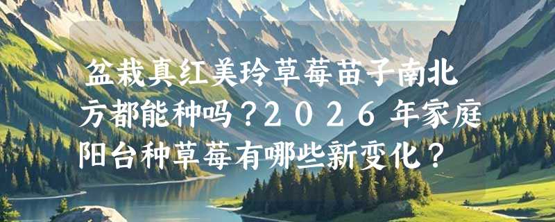 盆栽真红美玲草莓苗子南北方都能种吗？2026年家庭阳台种草莓有哪些新变化？