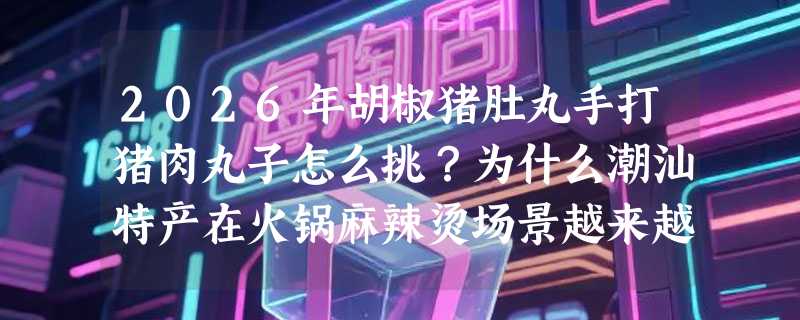 2026年胡椒猪肚丸手打猪肉丸子怎么挑？为什么潮汕特产在火锅麻辣烫场景越来越火？