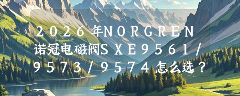 2026年NORGREN诺冠电磁阀SXE9561/9573/9574怎么选？A70/A80/170这些后缀到底代表什么？