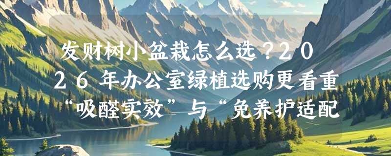 发财树小盆栽怎么选？2026年办公室绿植选购更看重“吸醛实效”与“免养护适配性”