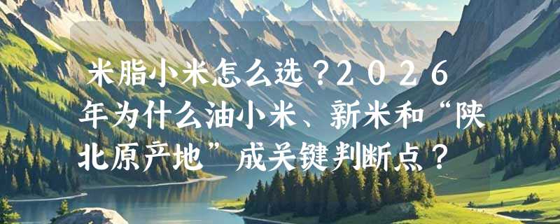米脂小米怎么选？2026年为什么油小米、新米和“陕北原产地”成关键判断点？