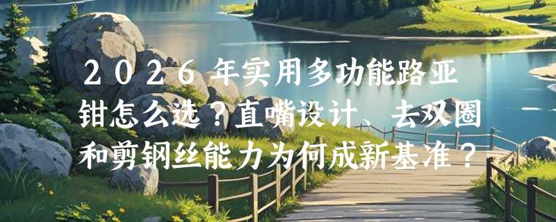 2026年实用多功能路亚钳怎么选？直嘴设计、去双圈和剪钢丝能力为何成新基准？