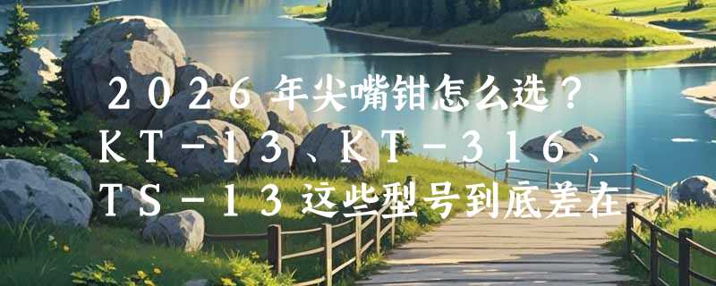 2026年尖嘴钳怎么选？KT-13、KT-316、TS-13这些型号到底差在哪？