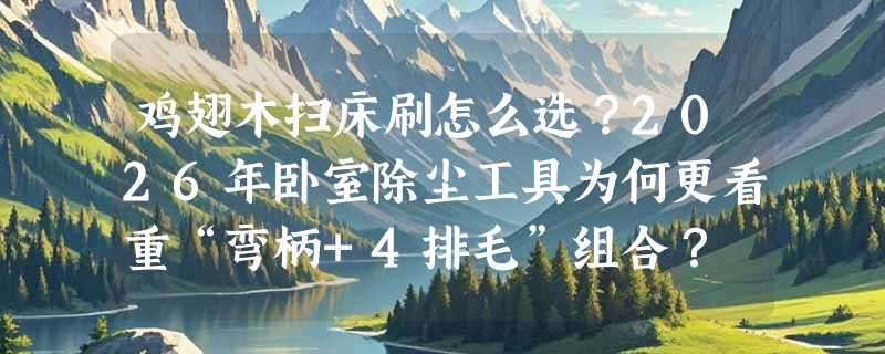 鸡翅木扫床刷怎么选？2026年卧室除尘工具为何更看重“弯柄+4排毛”组合？