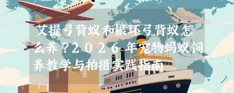 艾提弓背蚁和银环弓背蚁怎么养？2026年宠物蚂蚁饲养教学与拍摄实践指南