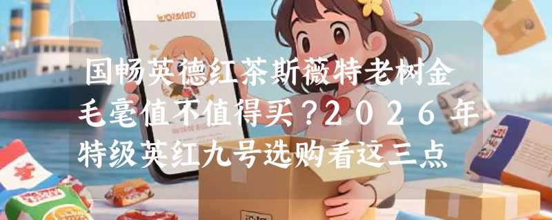 国畅英德红茶斯薇特老树金毛毫值不值得买？2026年特级英红九号选购看这三点