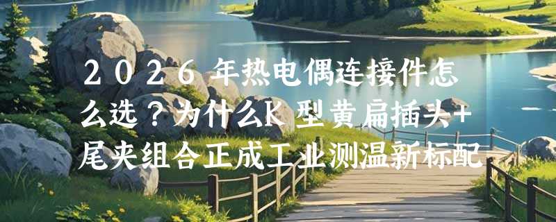 2026年热电偶连接件怎么选？为什么K型黄扁插头+尾夹组合正成工业测温新标配？
