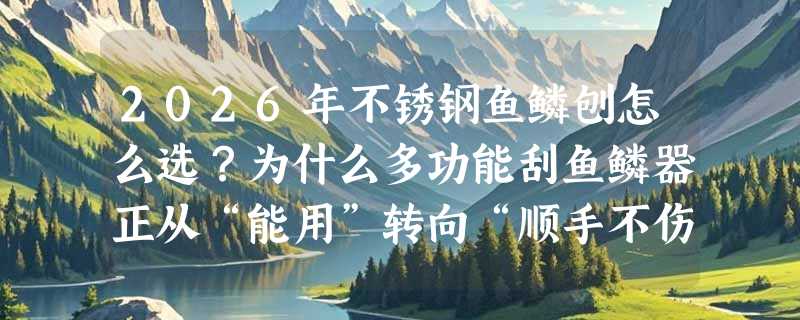 2026年不锈钢鱼鳞刨怎么选？为什么多功能刮鱼鳞器正从“能用”转向“顺手不伤鱼”？