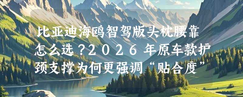 比亚迪海鸥智驾版头枕腰靠怎么选？2026年原车款护颈支撑为何更强调“贴合度”与“场景组合”？
